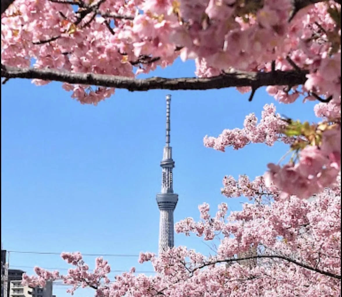 貸切一軒家 東京ヴィラ リバーサイド平井 Präfektur Tokio 0*,  Japan